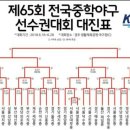 제 65회 전국중학야구 선수권대회 대진표 이미지