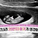 주바라기분식 이미지