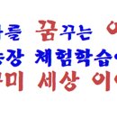 닭세상농장 이미지