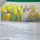 김포시 산림조합