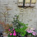 다팜메디칼 | 부산대 맛집 부산대 포맨티코 본점 후기