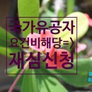신증행정사 네이버블로그