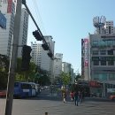 대치동동물약국 이미지