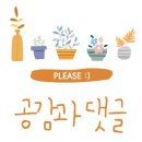 이비가짬뽕경남밀양점