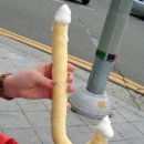 [부산여행] 비와도 간다! 2박3일 부산여행 2. 토요코인 서면,달맞이길,해운대,돈하루방 ♥