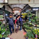 제주시민속오일시장 이미지