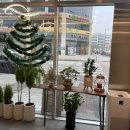 더얼반헤어 이미지