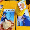 송우네민박 이미지