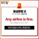 애니얼라인 이미지