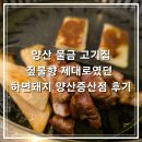 1417 | 양산 물금 고기집 짚불향 제대로였던 하면돼지 양산증산점 후기