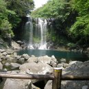 천지연폭포 이미지