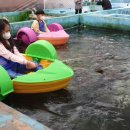 교래생태체험장 이미지