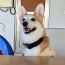 영서로3 이미지