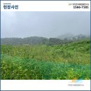 지리산 태양광발전소 이미지