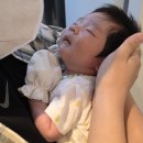열린연합의원 | 대구BCG피내용가능병원 달서구보건소 바른연합소아과 접종후기