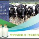 신암목장 네이버블로그