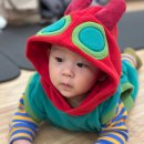 혼합수유방법, 분유갈아타기 고민 끝에 선택한 모유성분 앱솔루트 명작