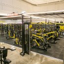 스파월드짐 이미지