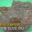 시장식당 이미지