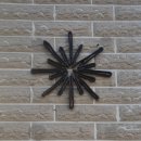 감나무길(태화동) | 울산 태화동카페 희락과화평 핸드드립 솔찍후기