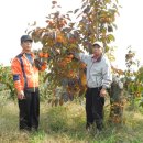 진영농장 이미지