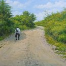 시선이 머무는 곳 이미지