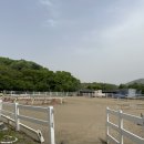 용인씨씨승마클럽 이미지