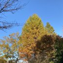 영등동유적 이미지