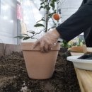 헬로우마켓 이미지