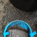 애니카랜드호평점 이미지