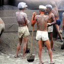 이영현농장 이미지