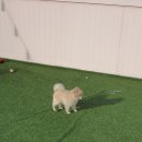 486독캠프 이미지