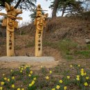 구항면 발현마을회관 | 4월 국내여행 홍성 거북이 마을 수선화 축제 구산사 주차장