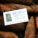 별별,당근이야기 이미지