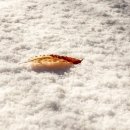 오아시스여관 이미지