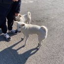 파하르커피 | 문산 카페 파하르 커피 N년 째 방문 중