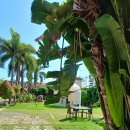 도깨비 당구장 이미지