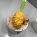 목동 수제 젤라또 아이스크림 맛집 건강한맛&#39;젤로디&#39; 내돈내산 또갈집 후기