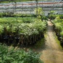 재명농장 이미지