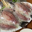 순천활어 이미지