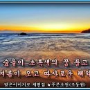 솔잎이슬 이미지