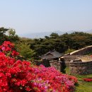 [제60차 역사기행]서해의 정취와 핏빛 순정 동백 ㅡ 고창 영광＜날짜변경＞ 이미지