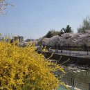 창동할머니토스트 | 내돈내산)걷다가 우연히 발견한 창동할머니토스트 후기