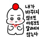 도태라플러스 이미지