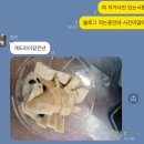 대영오토바이 | 대만 여행(을 가장한 푸드파이팅)일지