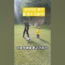 강아지도 축구를 하나요; 子犬もサッカーをしますか; Does the dog play soccer, too? 이미지