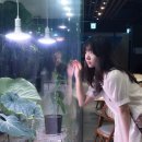 투베이크 이미지