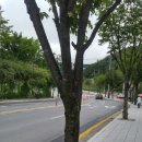 번영로길 티스토리