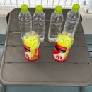 파크힐 | 한강테니스｜워커힐 테네즈파크 이용후기 및 예약방법 총정리