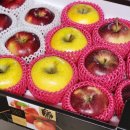 금당골농장 이미지